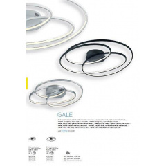 Люстра TRIO GALE 673916031 Ворожба