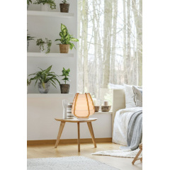 Настольная лампа Candellux Nagoja Бежевый (50501039) Хуст