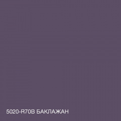 Фарба Акрил-латексна Фасадна Skyline 5020-R70B (C) Баклажан 5л Чернівці