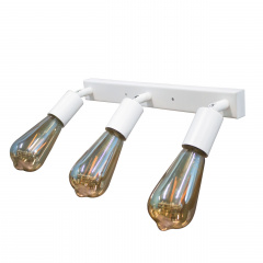 Светильник в стиле лофт с поворотным механизмом MSK Electric Asket NL 1222-3 W Вышгород