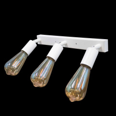 Светильник в стиле лофт с поворотным механизмом MSK Electric Asket NL 1222-3 W Вышгород