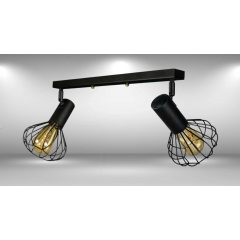 Світильник лофт настінно-стельовий MSK Electric Lotus NL 14151-2 Суми