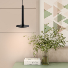 Светильник подвесной в стиле лофт MSK Electric Disk под лампу Е14 NL 26501 BK Жмеринка