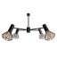 Люстра MSK Electric Diadem на чотири плафони NL 22152-4 BK Васильків