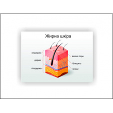 Плакат Vivay Жирная кожа 30х40 см Белый