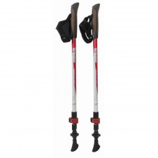 Палки для скандинавской ходьбы Tramp Compact TRR-004