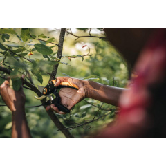 Плоскостной секатор Fiskars Plus P721 (1057170) Запоріжжя