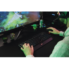 Геймерська клавіатура провідна 2E Gaming KG315 KG315 RGB USB Ukr Чорний Львів