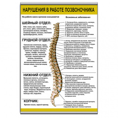 Плакат Vivay Порушення у роботі хребта з планкою А3 (8914) Вишневе