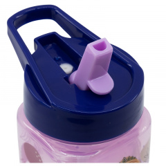 Бутылка для воды детская 510 мл Stor Frozen (74214) Броды