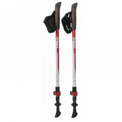 Палки для скандинавской ходьбы Tramp Compact TRR-004 Сумы