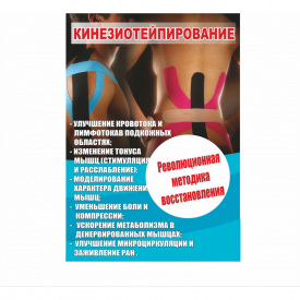 Плакат Vivay Кинезиотейпирование А1 (5448)