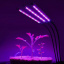Фітолампа світлодіодна для рослин Plant GrowLight-3 із таймером чорна Ужгород