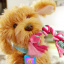 Игрушка интерактивная Собачка My Fuzzy Friends Чернигов