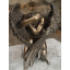 Фігурка інтер'єрна Angel 15 см Veronese Коричневий AL228510 Львів