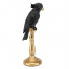 Фігурка інтер'єрна Parrot Black 31 см ArtDeco AL117945 Олександрія