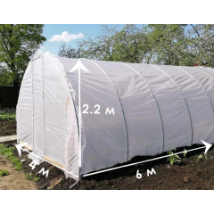 Теплиця "Дарина" 4х6м, труба 20х20мм з плівкою 120 мкм Київ