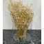 Ваза скляна 19 см Trendglass Flora 35096 Чернігів