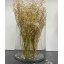 Ваза скляна 19 см Trendglass Flora 35096 Чернігів