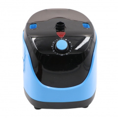 Отпариватель для одежды вертикальный RAF R.3038 1800W Blue-Black (3_03917) Київ