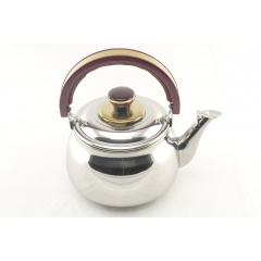 Чайник кухонный со свистком A-PLUS WK-9029 2.7 л Steel Кам'янка-Дніпровська