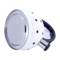 Чайник Kamille из нержавеющей стали со свистком 2 л Київ