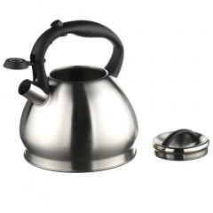 Чайник со свистком A-PLUS 1374 3 л Steel Запорожье
