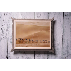 Поднос на подушке Mine Сахара Песочный (111776) Львів