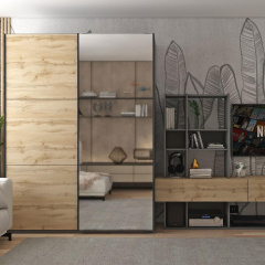 Шафа купе Doros G-Caiser Графіт Дуб Евок 1 ДСП / 1 Дзеркало 160х60х240 (42005072) Ворожба