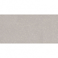 Плитка PARADYZ Macroside Silver RECT 598x1198x10 мм Чернигов