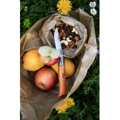 Складной нож Opinel №9 Tradition 90 мм (113090) Черновцы