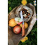 Складной нож Opinel №9 Tradition 90 мм (113090) Черновцы