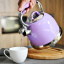 Чайник из нержавеющей стали Felicity Lilac на 2.6л со свистком DP86440 Fissman Кропивницкий