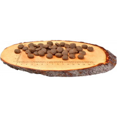 Сухой корм Carnilove Adult Duck & Pheasant 12 кг 150818/8860 Киев