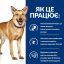 Сухой корм для собак Hill's Prescription Diet Canine I/D Digestive Care 12 кг (605862) Вишневе