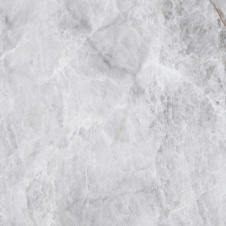 Фото - Плитка Asia Pacific Picasso Silver Polished 60х60 см Плитка Asia Pacific Picasso Silver Polished 60х60 см