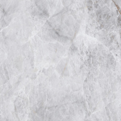 Плитка Asia Pacific Picasso Silver Polished 60х60 см Токмак