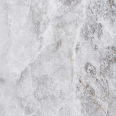 Плитка Asia Pacific Picasso Silver Polished 60х60 см Токмак