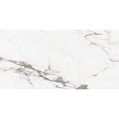 Плитка Asia Pacific Statuario Bottega Silver Polished 60х120 см Покровськ