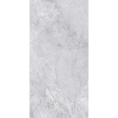 Плитка Asia Pacific Picasso Silver Polished 60х120 см Хмельницький