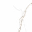 Плитка Asia Pacific Statuario Rich Gold Polished 60х60 см Дубно