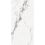 Плитка Asia Pacific Statuario Bottega Silver Polished 60х120 см Покровськ