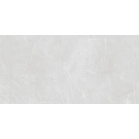 Плитка Asia Pacific Armani Silver Polished 60х120 см