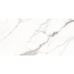 Плитка Itaca Satvario Fancy Grey Polished 60х120 см Львов