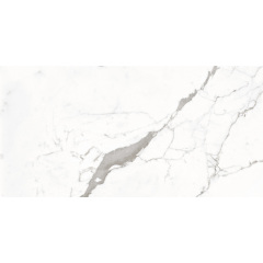 Плитка Itaca Satvario Fancy Grey Polished 60х120 см Львов