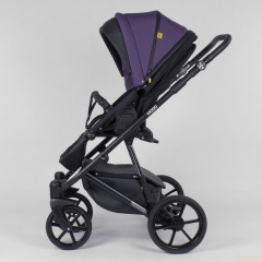 Детская коляска 2 в 1 для детей Expander MODO Plum (91310) Кропивницький