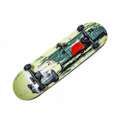 Скейтборд "Scale Sports" Malibu (1634107776) Черкассы