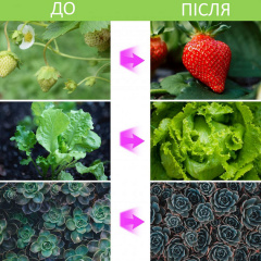 Світлодіодна фітолампа Full Spectrum 4в1 GrowLight 8 режимів яскравості + таймер управління (OJ146IU) Житомир