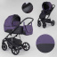 Детская коляска 2 в 1 для детей Expander MODO Plum (91310) Кропивницький