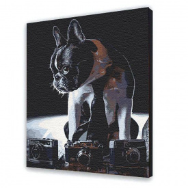 Картина по номерам ArtStory Песик 40х50 см Разноцветный (251280126)